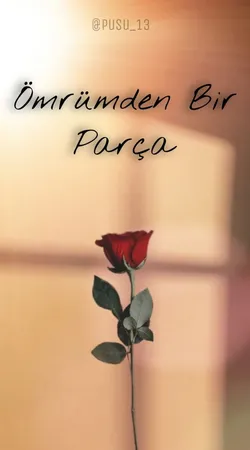 Aliya Sancaktar / Ömrümden Bir Parça / ~Bir Zamanlar Vardı