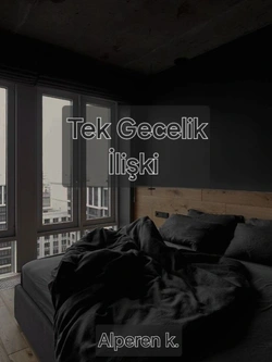 Alperen Kosan / Tek Gecelik İlişki / Leonardonun gozunden