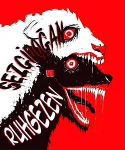 Anon / Sezgidoğan ve Ruhgezen / Ruh ve Sezgi