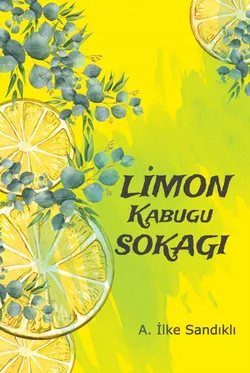 Ayşenur İlke Sandıklı / LİMON KABUĞU SOKAĞI / LKS-2