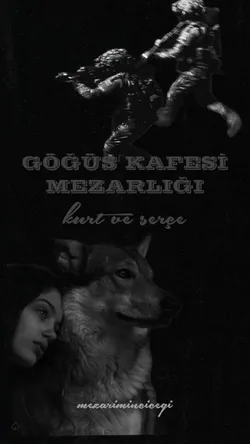 bade / Göğüs Kafesi Mezarlığı / on bir