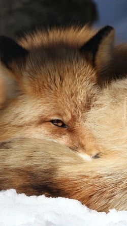 Bahar Yıldız / Dünya Çok Küçük / 2. Bölüm