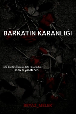 Wsoline_999 / BARKATIN KARANLIĞI / 3-Hisler yanıltmaz