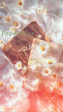 Elifnaz / Papatyalar ve Gün batımları / Beni neden sevmedin?