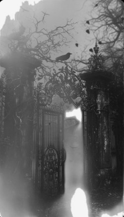 Hayruşşş🖤🤍 / GİZLİ KÜTÜPHANENİN SAKLI DİYARI / Okul gezisi