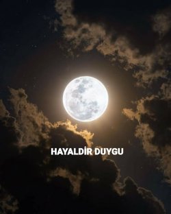 DAMLA / HAYALDİR DUYGU / SEN ZATEN GÜÇLÜSÜN