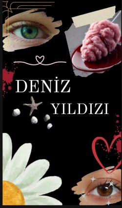Elifnur / DENİZ YILDIZI / 13.BÖLÜM: DENİZ YILDIZI