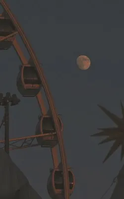 Derin Ülkerman / Cinayet (Gerçek
 Bir Hikayeden uyarlanmıştır) / 1. Bölüm