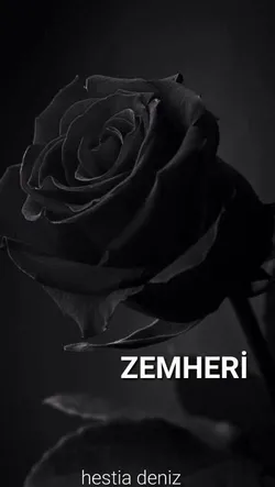 Derya Deniz / Zemheri / Bölüm -1 : Zemheri'yle Tanışma