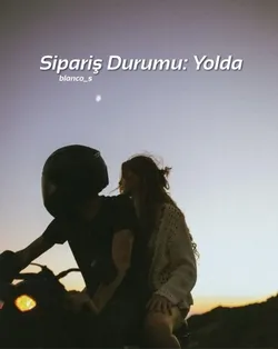 Dila / Sipariş Durumu: Yolda / Giriş