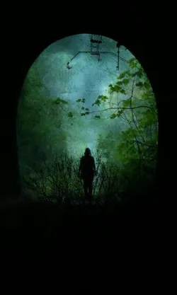 Ekin akturk / İstanbulun sesi / İstanbulun sesi