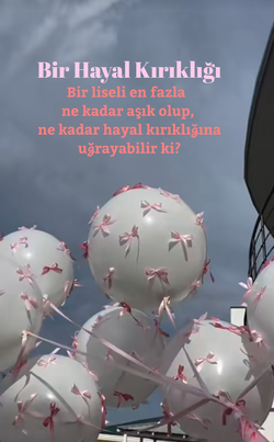 Elifinerikk / Bir Hayal Kırıklığı / 9. Bölüm