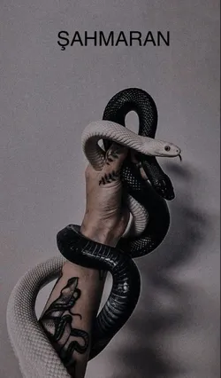 Elif Himtaş / Şahmaran / 1. Vefa