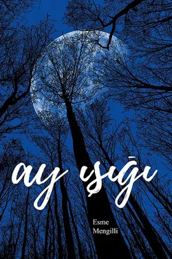Esme Demir / Ay Işığı / Rüyalardan Kaçış