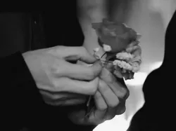 feu / Dead butterfly/ taekook / 53. Bölüm