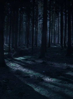 Gamze / ☆◖MÜCADELE VAKTİ◗☆ / 1. Bölüm