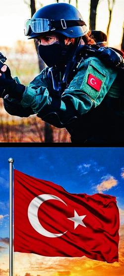 Gül / Alcan / İntikam İçin