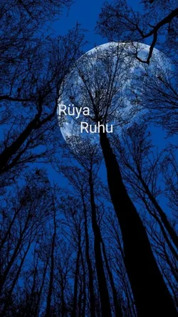 İlyada / Rüya Ruhu / Giriş