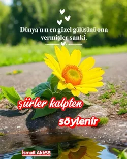 İsmail Akk / Şiirler kalpten söylenir / 🌹💐Uzaktan sevmek💐🌹