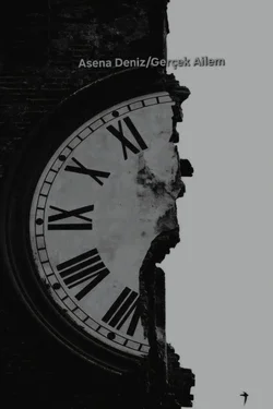 Emine Göksu / Asena Deniz/Gerçek Ailem / Giriş