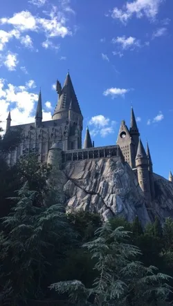 Any Shiney / ~Hogwarts Büyücülük Okulu~
             (İlk Yilim) / 1. Bölüm
Mektup