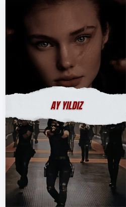 mavi / Ay Yıldız / Türkler kendi işini kendi halleder!