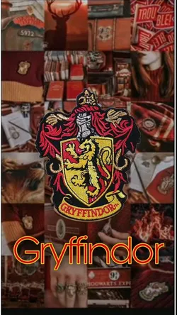 Lily / Gryffindor Chat / 1.Bölüm