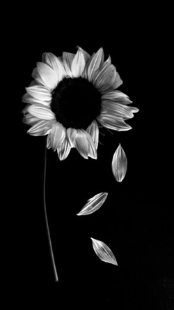 Melisa / Pişmanlık / 2.bölüm