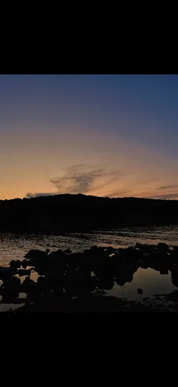 Mely / İçimde Konuştuklarım / Satılmış hisler