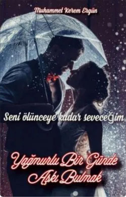 Muhammet kerem Ergün / Yağmurlu bir günde aşkı bulmak / İlk görüşte aşk