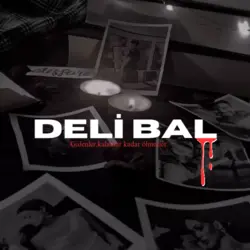 nn.bay / Deli Bal / 2.BÖLÜM/Deli Bal