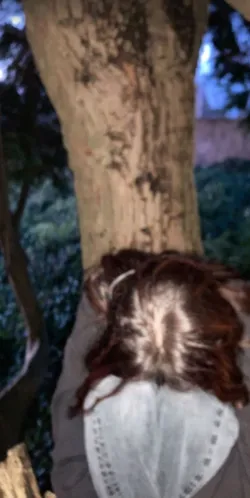 Nisa doğan / Ormandaki kız / 5.Bölüm