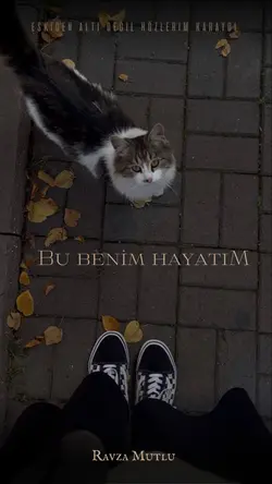 Ravza Mutlu / Bu Benim Hayatım / No.1