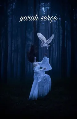 Rojbin / Yaralı serçe / 7. Bölüm
Medyada bahoz ağa