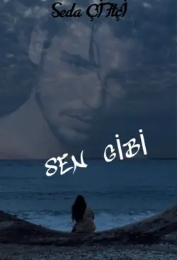 Seda Çiftçi / Sen Gi̇bi̇ / Çikmaz Sokak