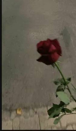 sessizbiri / Kalemden Akan Dizeler / Elimde Sigara, Önümde Viski