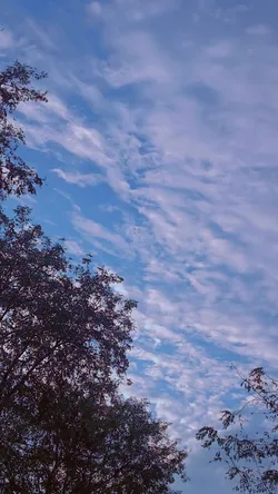 Sıla cakal. / GELCEKTEKİ KOCAM / 16. Bölüm