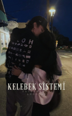 sima / Kelebek Sistemi