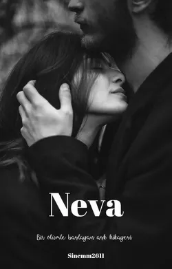 Sinemm / NEVA / 1. Gi̇ri̇ş