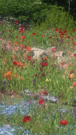 ssude 🪻 / Devil Town | Chanlix / Devil Town is colder in the summer time