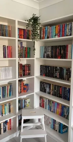 Stawberry / Bir kitaplık meselesi / 1. Bölüm