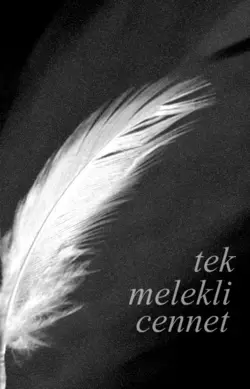 Ufak Bir Ördek / Tek Melekli Cennet / Yabancı 4