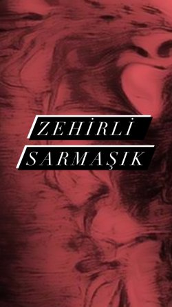 Ayşe Bayraktar / Zehirli Sarmaşık / Bölüm 6