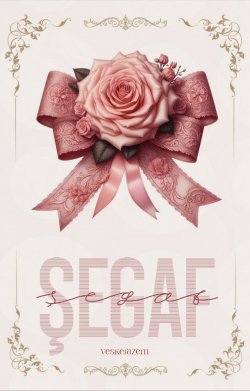 V.N / ŞEGAF / 10. Bölüm