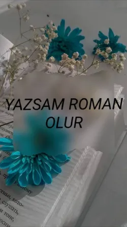 Zeynep Çankaya / YAZSAM ROMAN OLUR / KAÇIRILIŞ