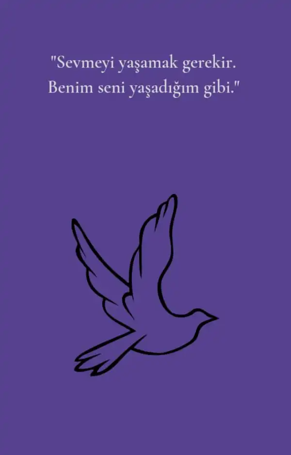 RabiaSofi / Sevmeyi Yaşamak / 19. Bölüm