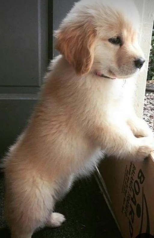 Şengülçam / Karanlık Adalet / 7.ponçik