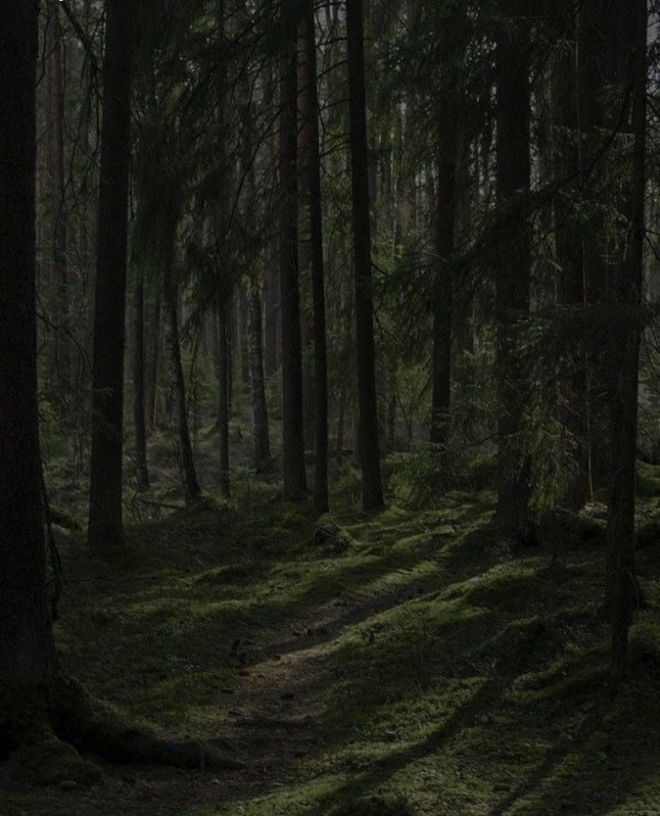 Şengülçam / Süper Aile / 11.kayıp