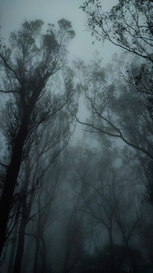 kankineayol / Belalı / 8- Rahatsızlık.