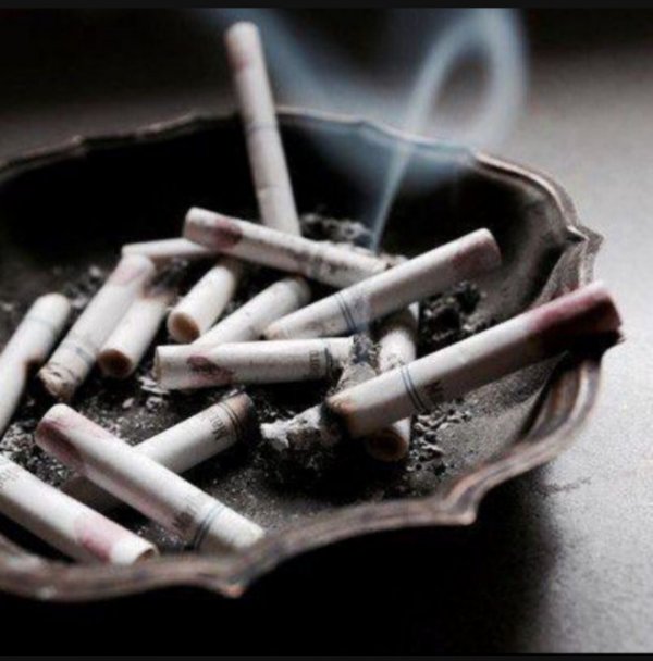 Elif Kınık / Kara Kutu Suskunlar / 10.Bölüm - Davete İcabet